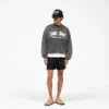 Pegasus-sweatshirt